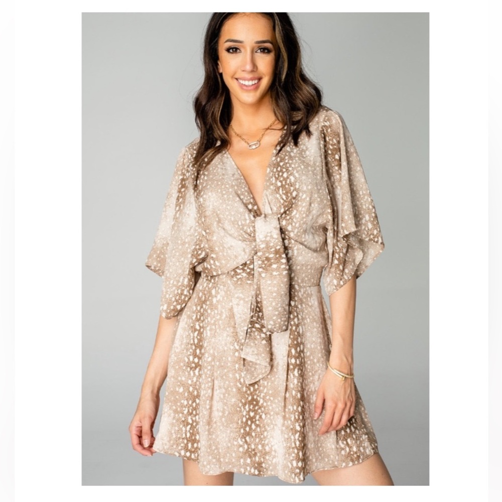Buddy Love Dress